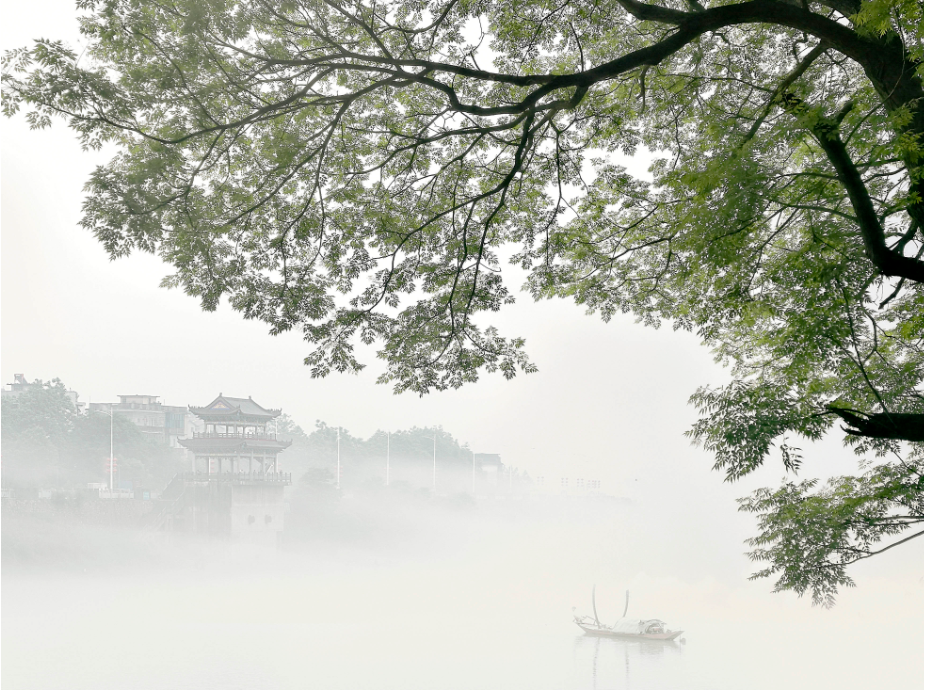 1651816072428034873.png 5 老家的苦楝樹 陳躍陸 13874610000.png