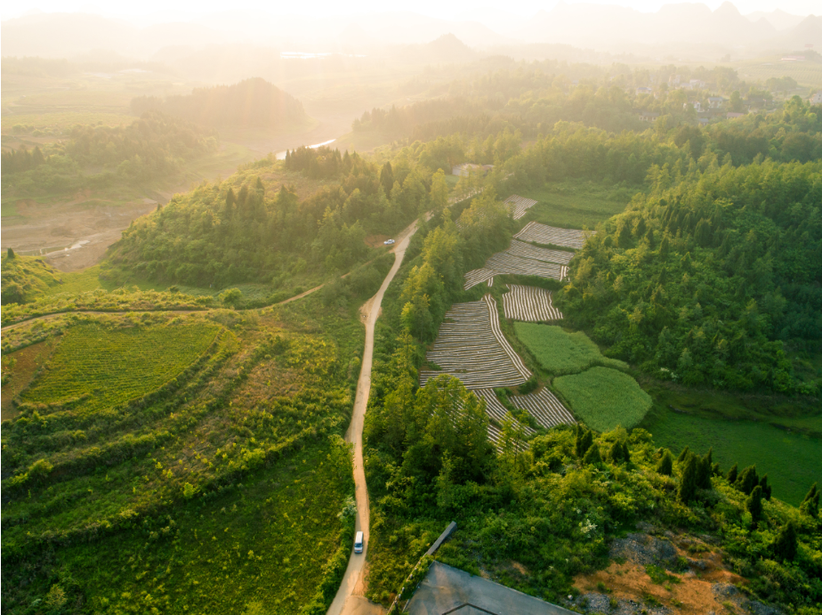 13_2 荒地變果園（組照） 陳敏捷 13507479497.png