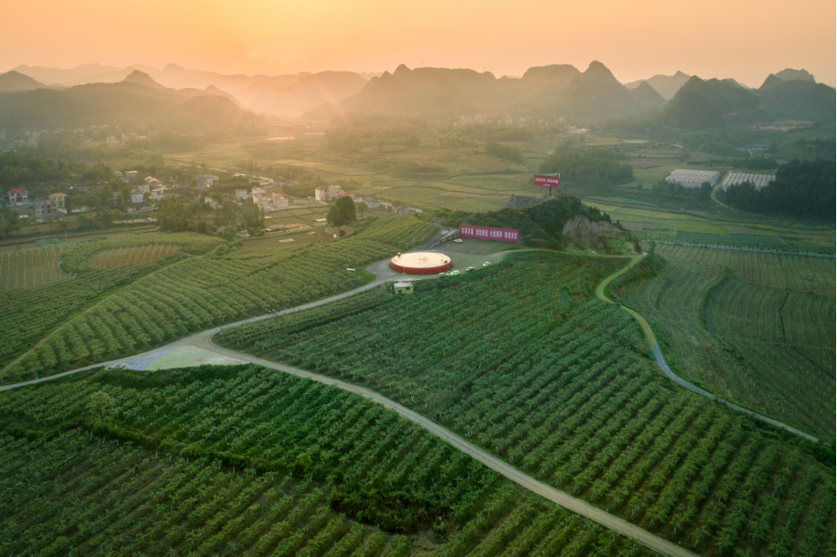 13_4 荒地變果園（組照） 陳敏捷 13507479497.png