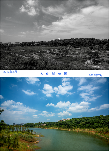 16_5 日新月異（組照) 田年經(jīng) 13607329998.png