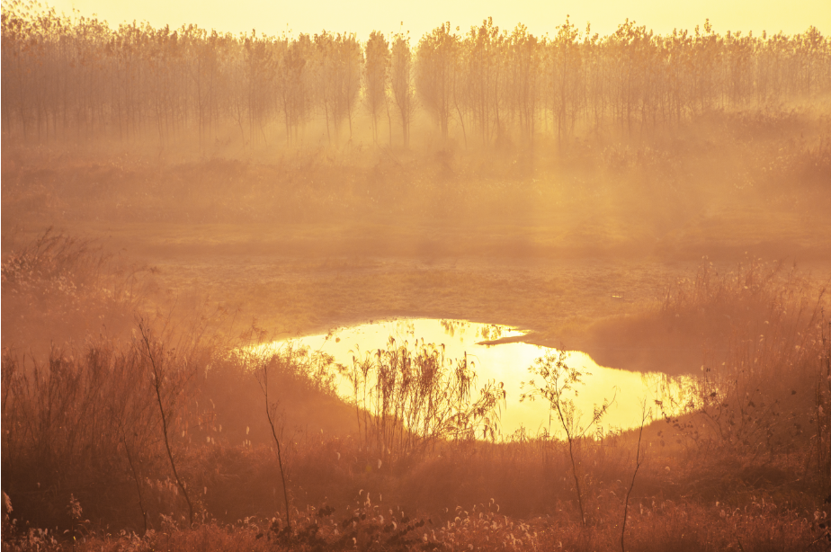 19_2《洞庭晨霧》（組照）李文  18873050161.png