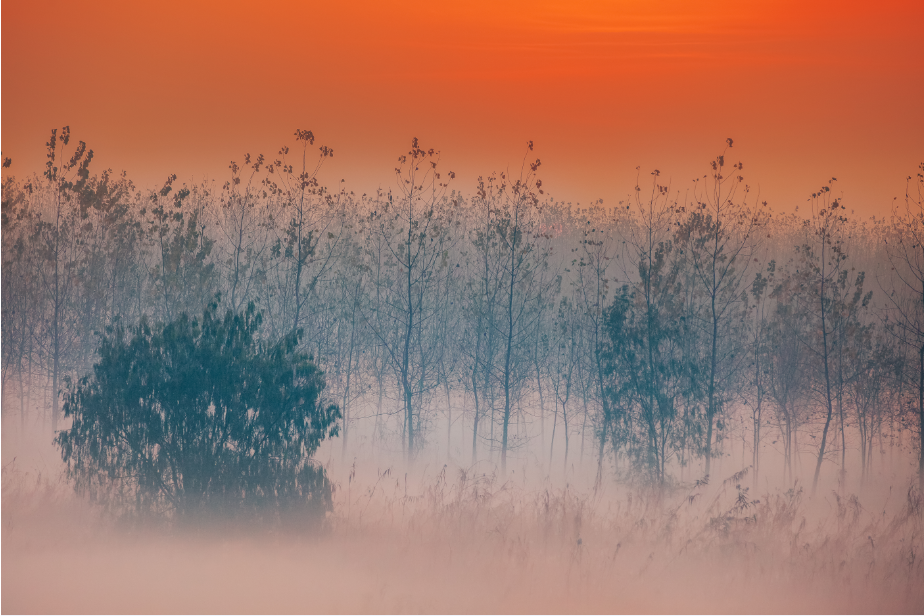 19_5《洞庭晨霧》（組照）李文  18873050161.png