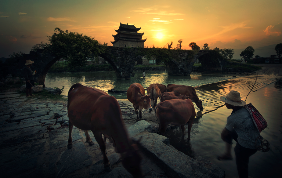 1651825823711015468.png 20《夕陽伴牛歸》劉奕 13607398801.png