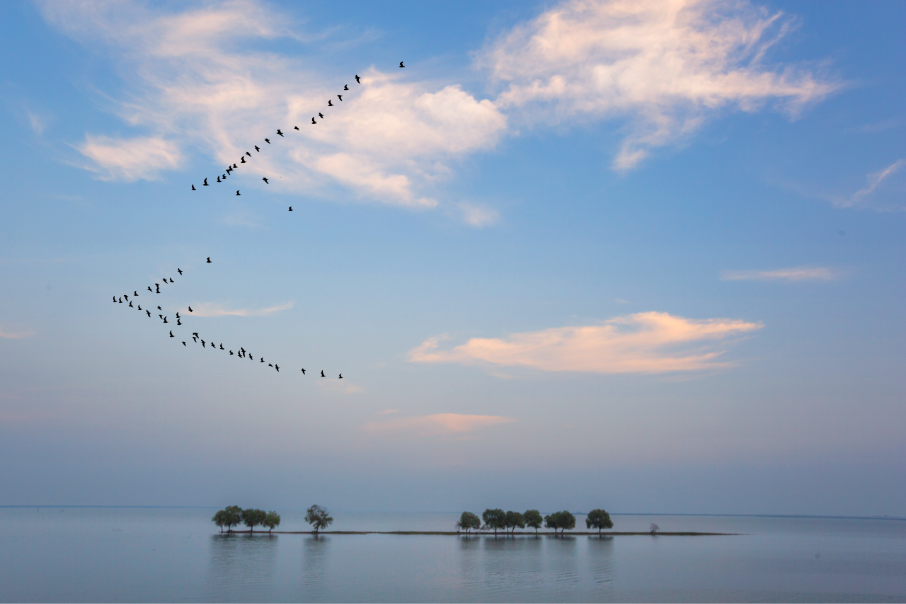 26《水天一色》岳陽錢糧湖 段煉中 15367914378.png