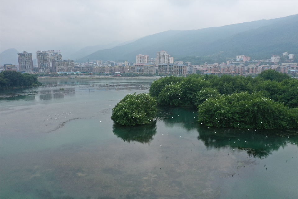 1651888455408091829.png 微信截圖_20220507095509.png