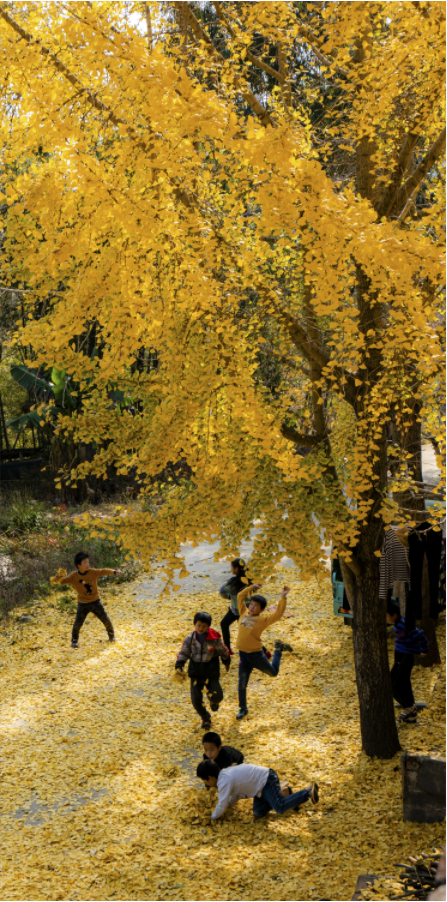 1651905357273089567.png 微信截圖_20220507143613.png