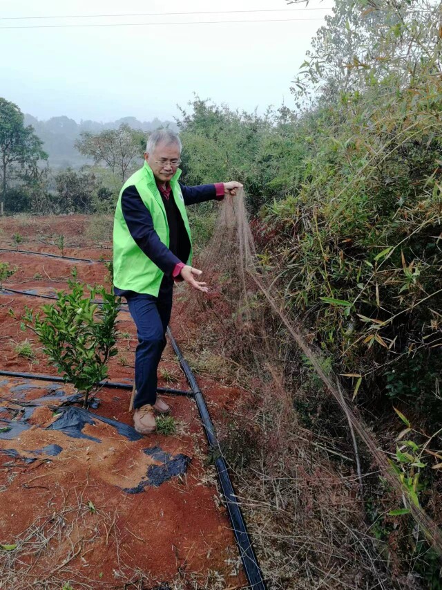 湖南日報|“洞庭濕地護鳥第一人”——記敬業奉獻的“湖南好人”李劍志
