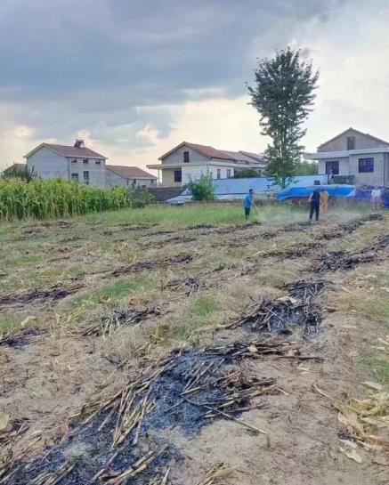 1662016195307018103.jpg 1-1.jpg