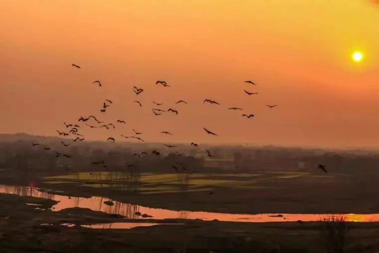 1672878498437021834.jpg 1672878498437021834.jpg