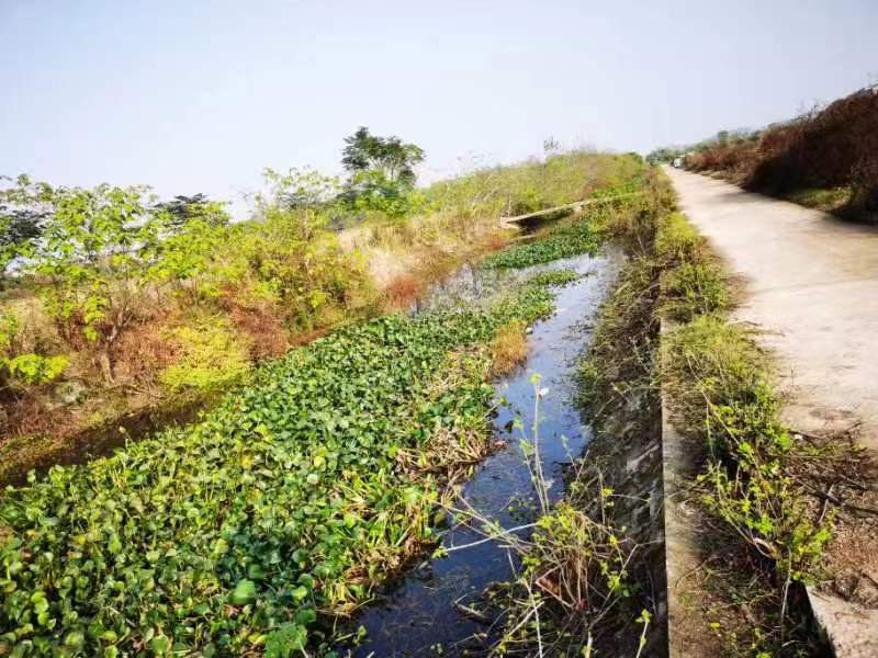 1677200358991080258.jpg 1677200358991080258.jpg