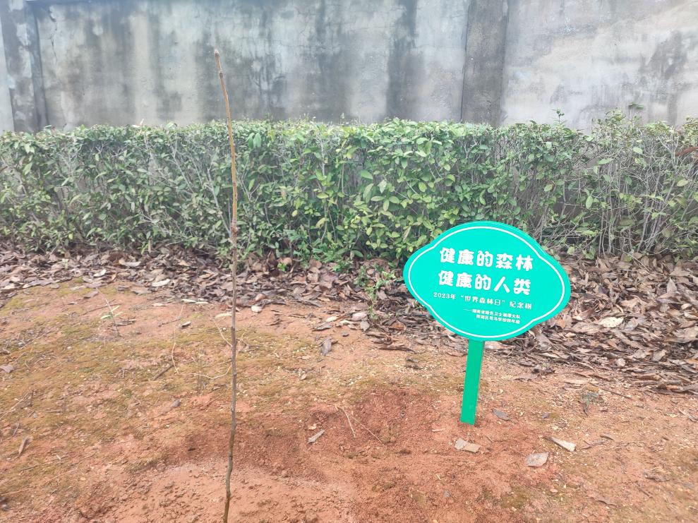 1679451535697038446.jpg 1679451535697038446.jpg