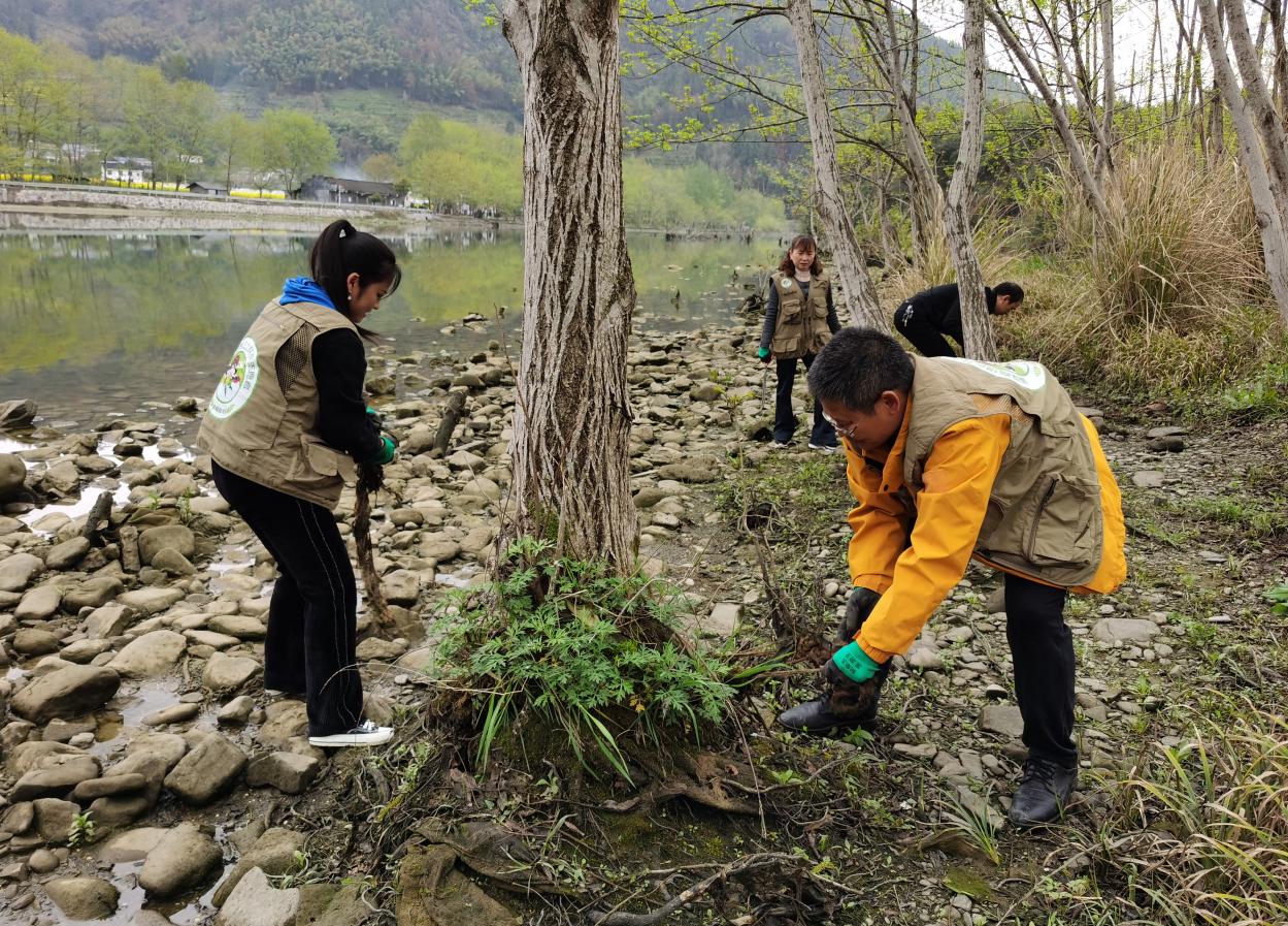 1680225252694004187.jpg 1680225252694004187.jpg