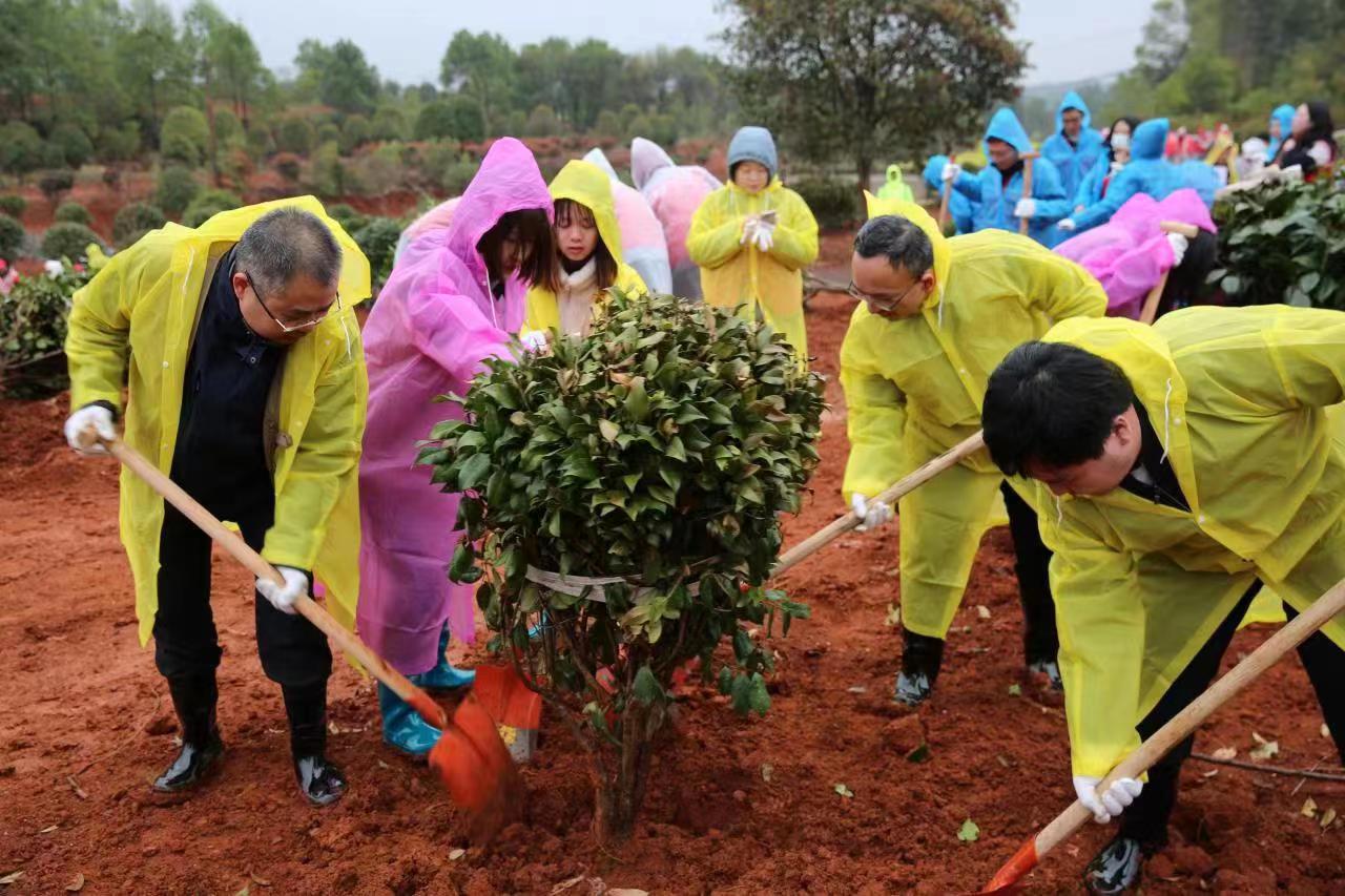 1680571089344074208.jpg 1680571089344074208.jpg