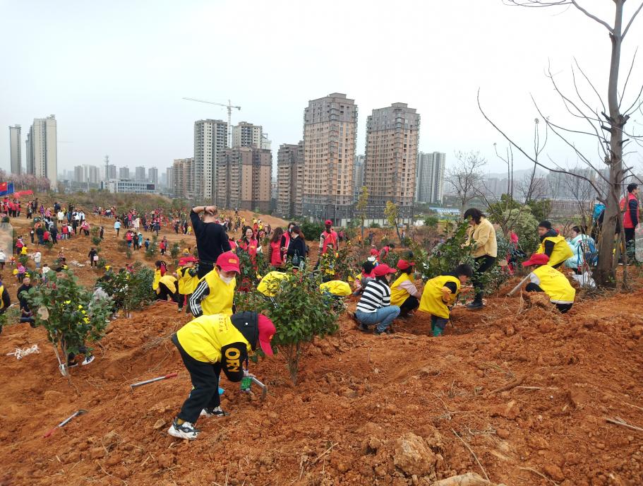 1680572925941038864.jpg 1680572925941038864.jpg