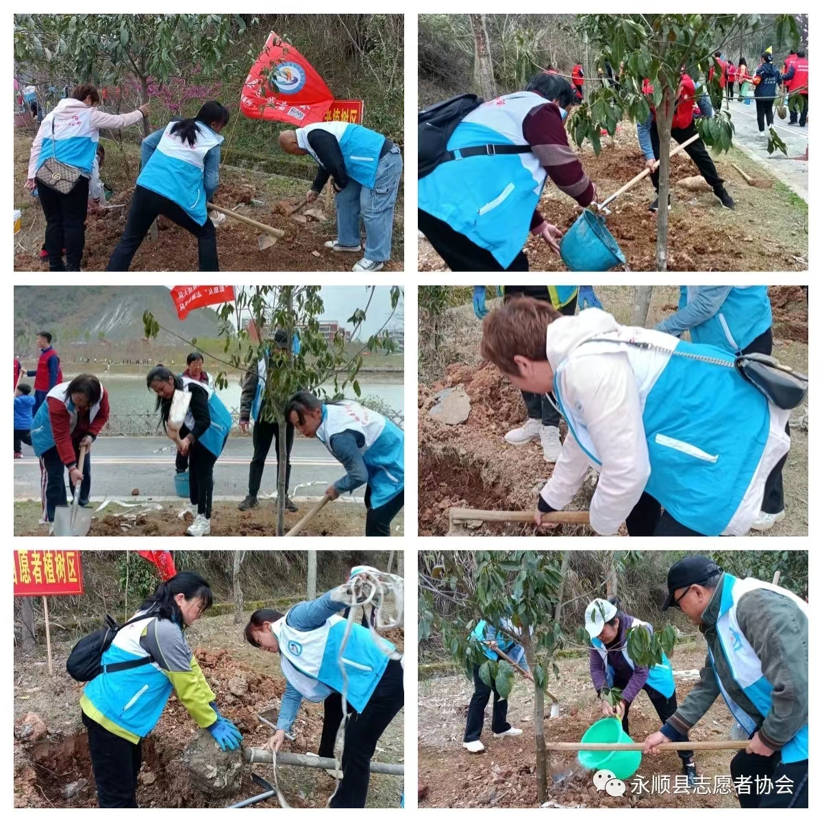 1680572994332023064.jpg 1680572994332023064.jpg