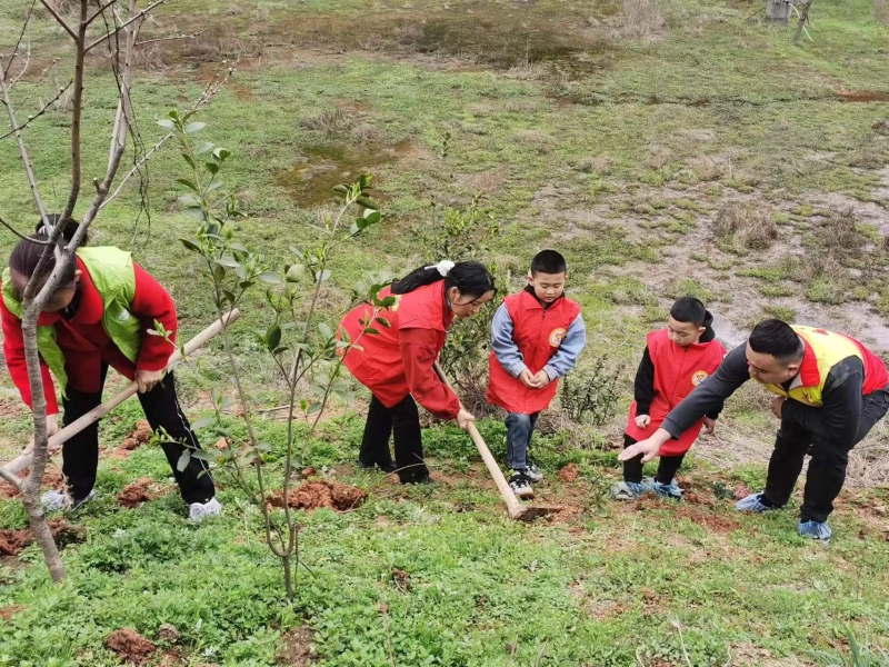 1680573042845002965.jpg 1680573042845002965.jpg