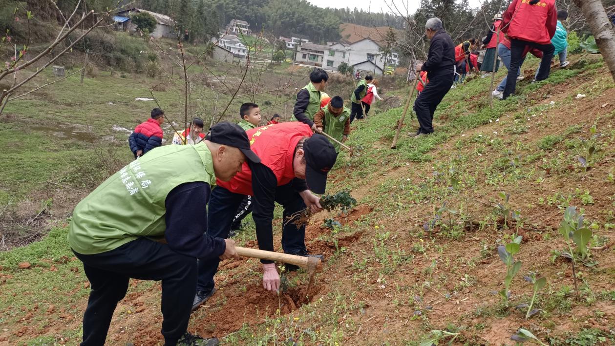 1680573061115094124.jpg 1680573061115094124.jpg