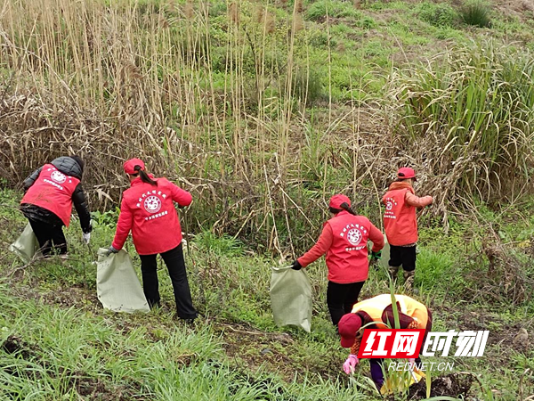 圖片8.png 圖片8.png