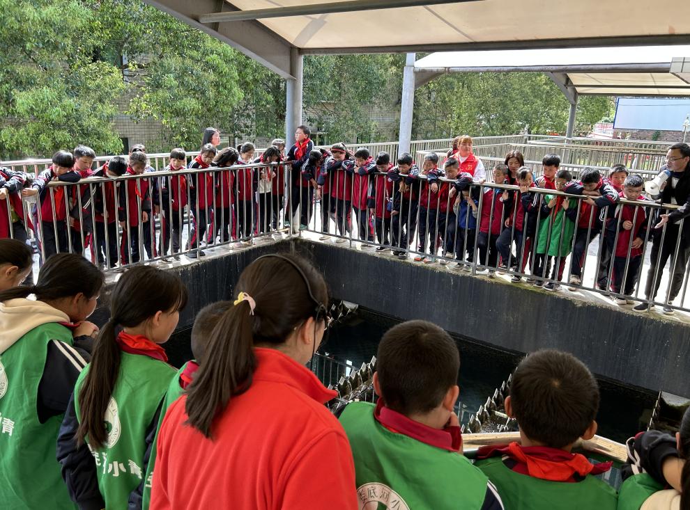 1682497271374017212.jpg 1682497271374017212.jpg