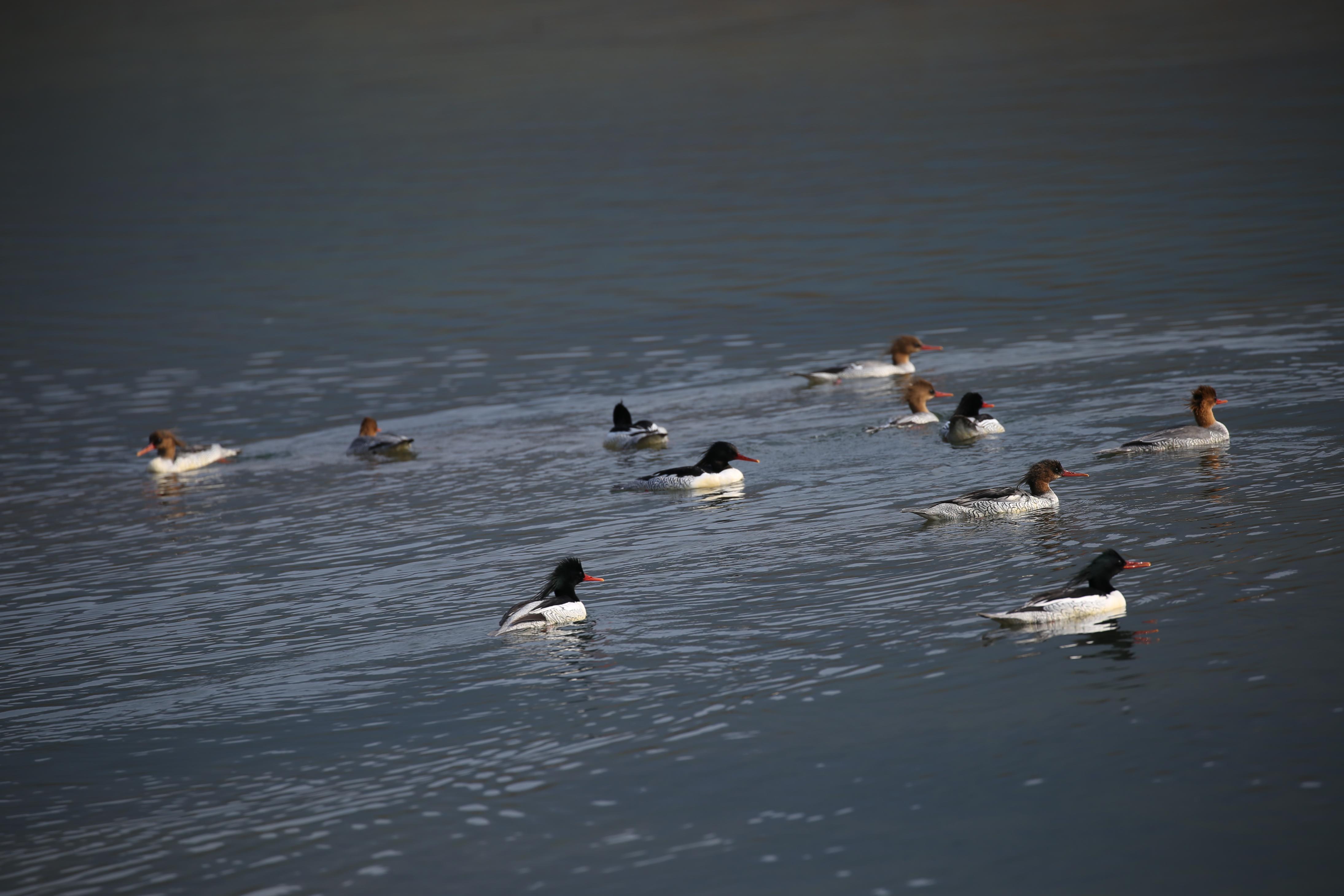 1690165286347069742.jpg 1690165286347069742.jpg