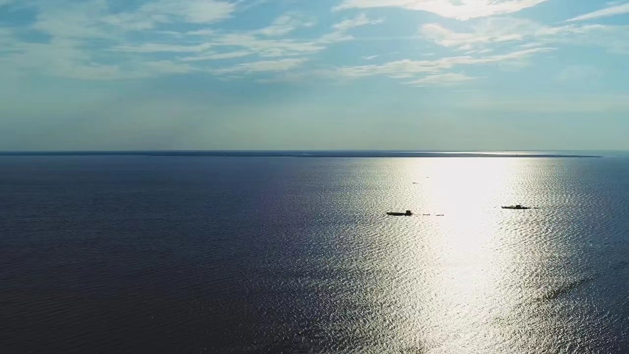 1691489856958076104.jpg 1691489856958076104.jpg