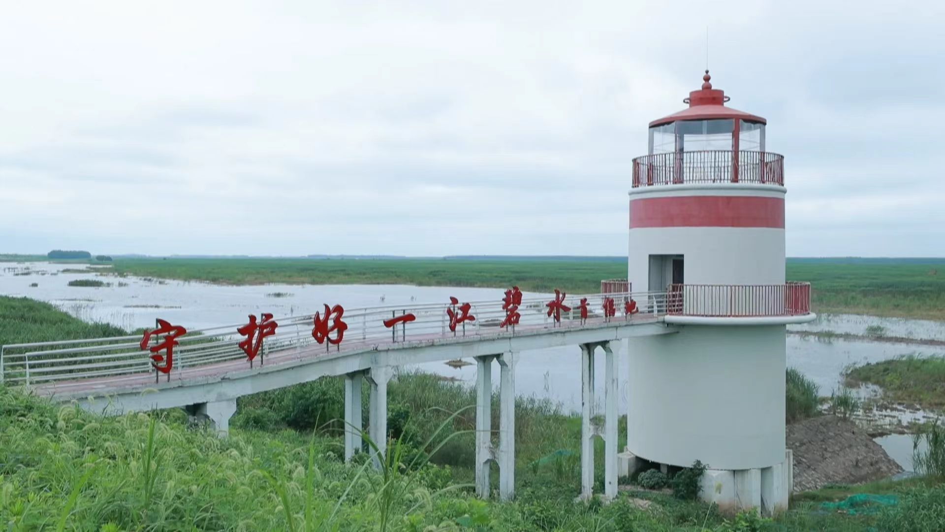 1691489889353078718.jpg 1691489889353078718.jpg