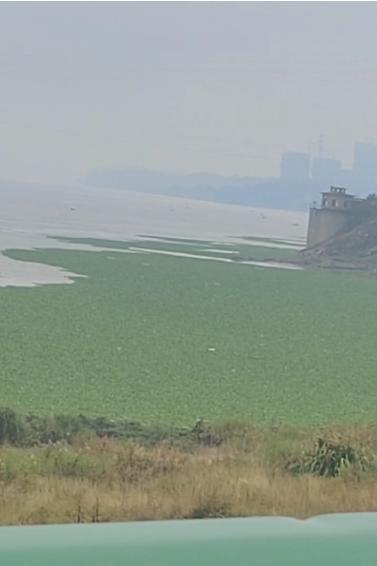 1700041361063027061.jpg 1700041361063027061.jpg