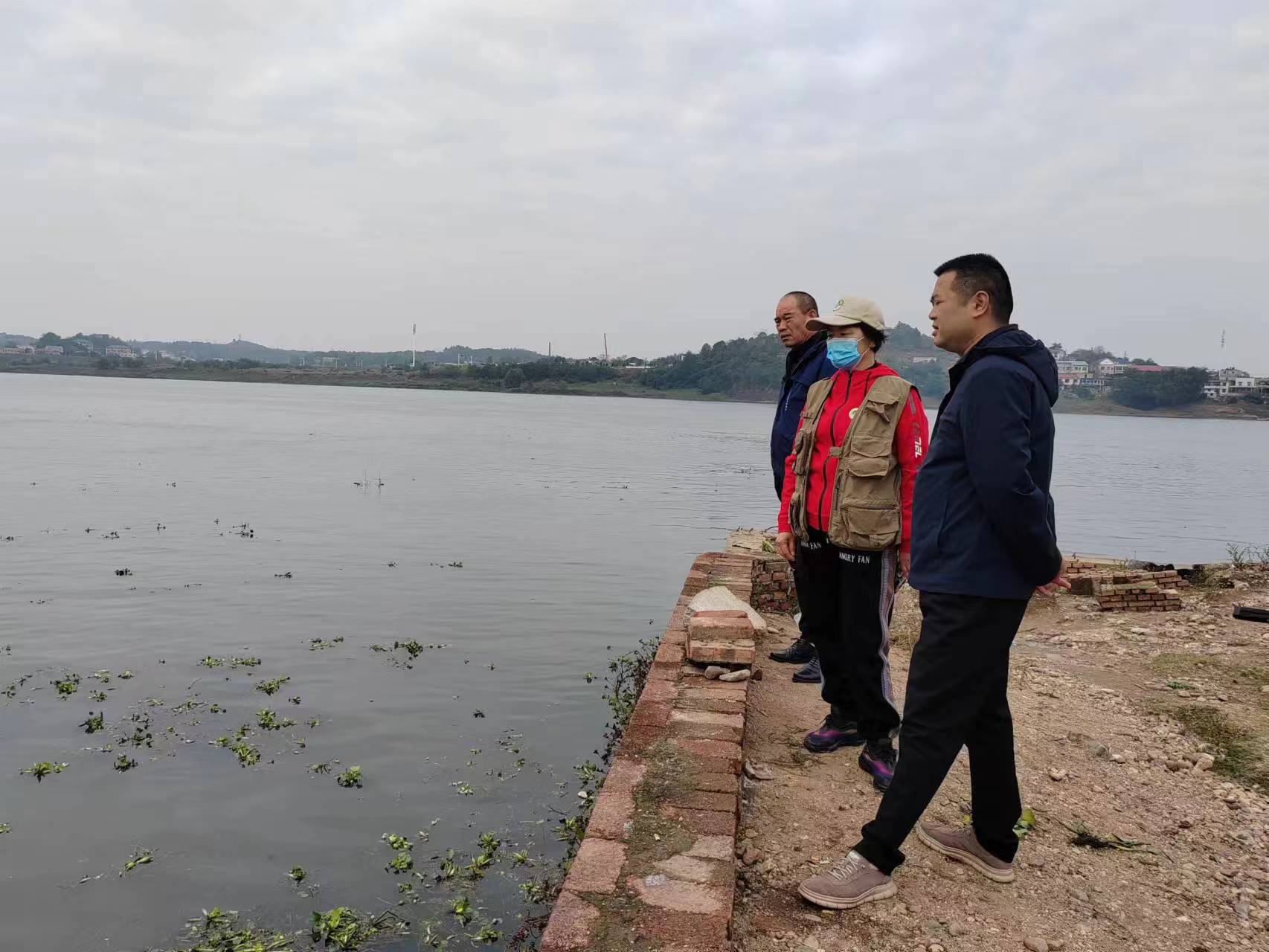 1700041524722049435.jpg 11.15株洲大石圍水葫蘆3.jpg