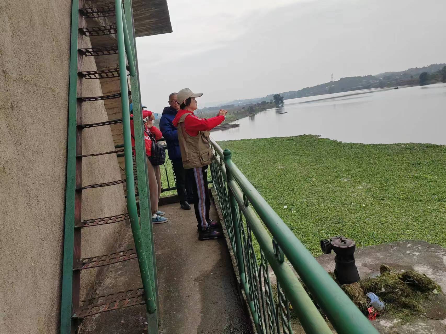 1700041714143054294.jpg 11.15株洲水葫蘆2.jpg