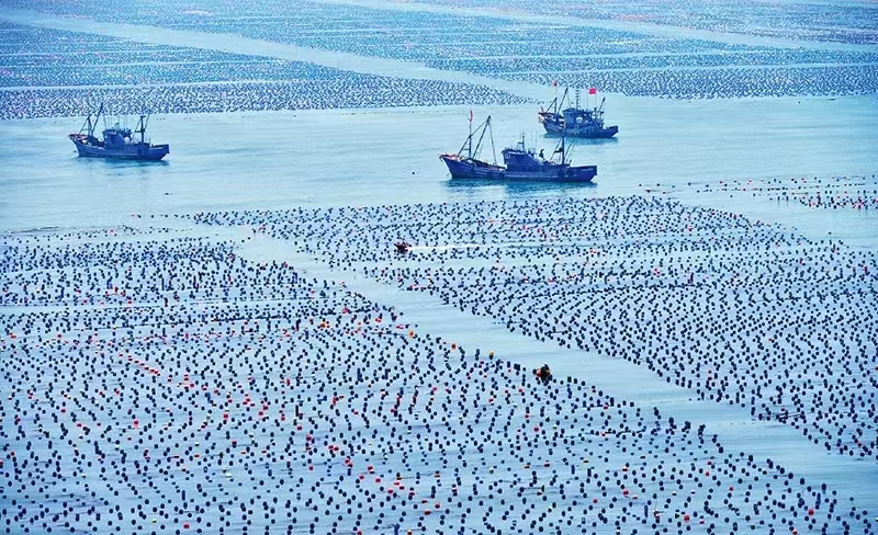 1704787234452044416.jpg 1704787234452044416.jpg