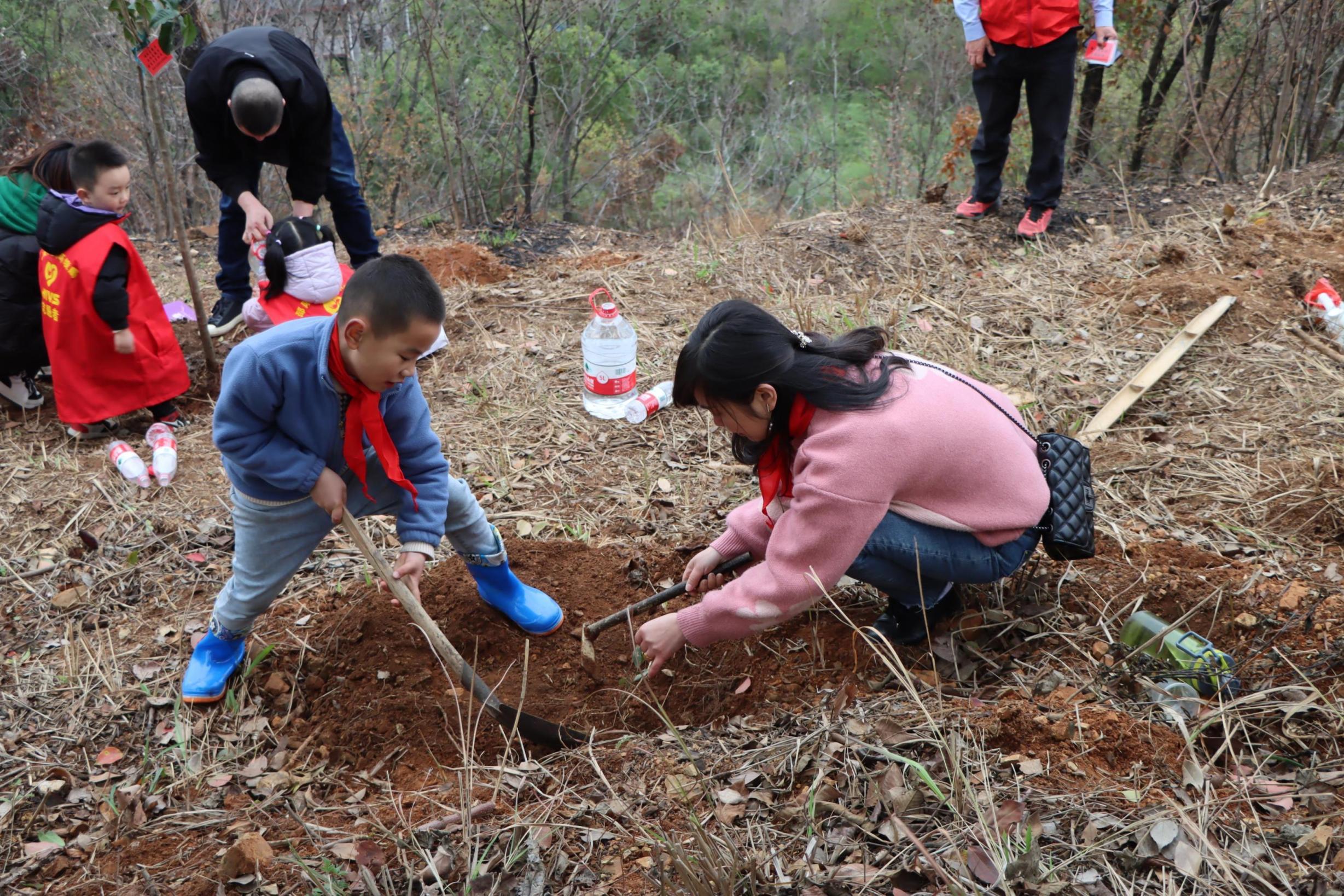 1705977708068069563.jpg 1.23邵陽(yáng)一根公益藤14.jpg
