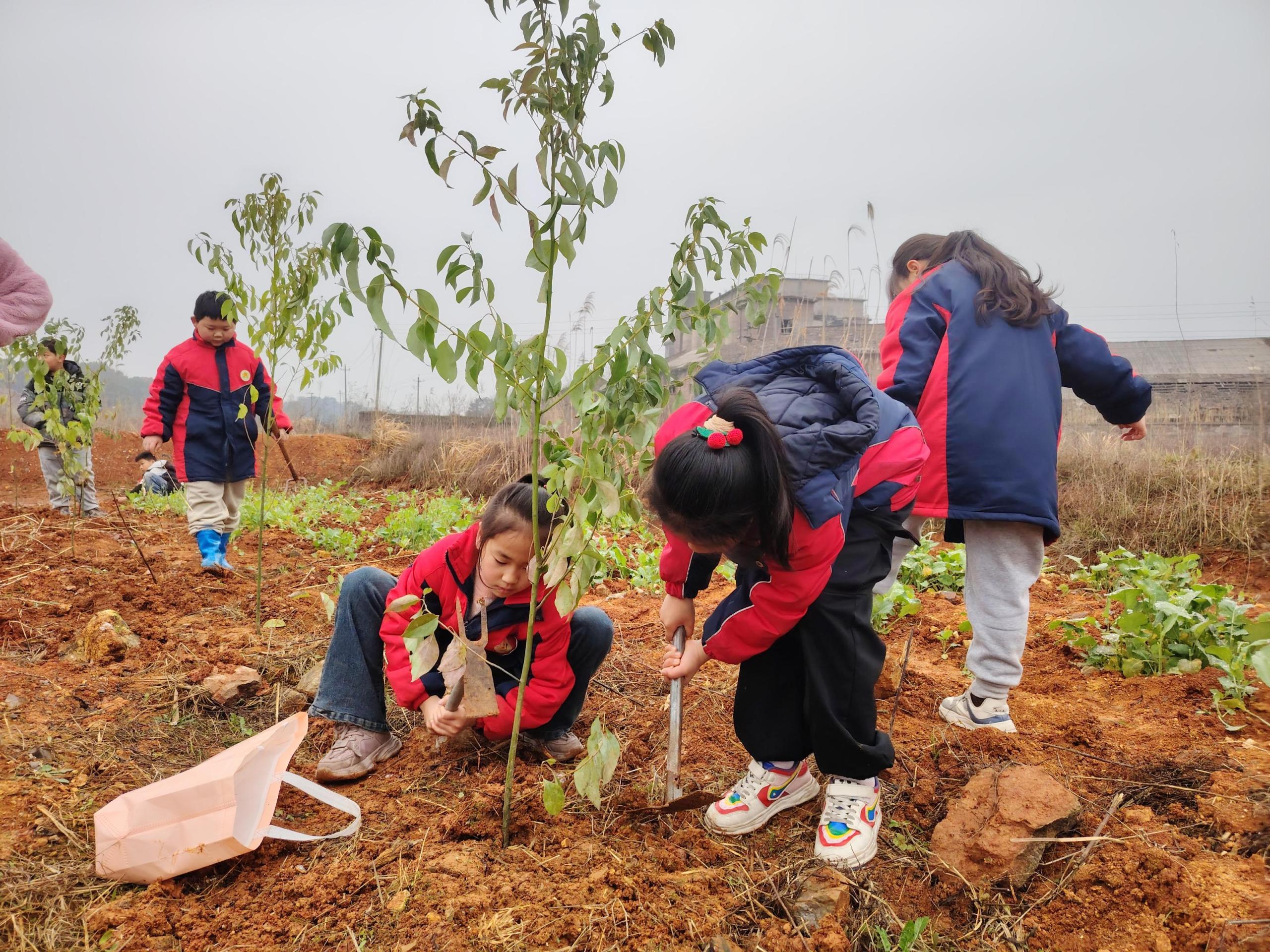 1710139527388002131.jpg 3.11桃江2.jpg