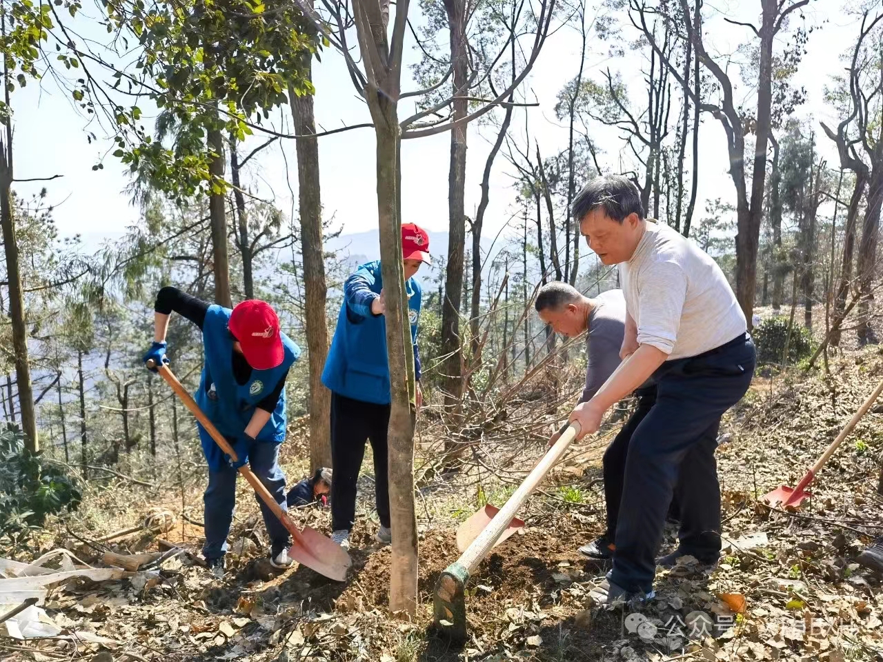 1710379096811056141.jpg 3.14湘潭植樹節2.jpg