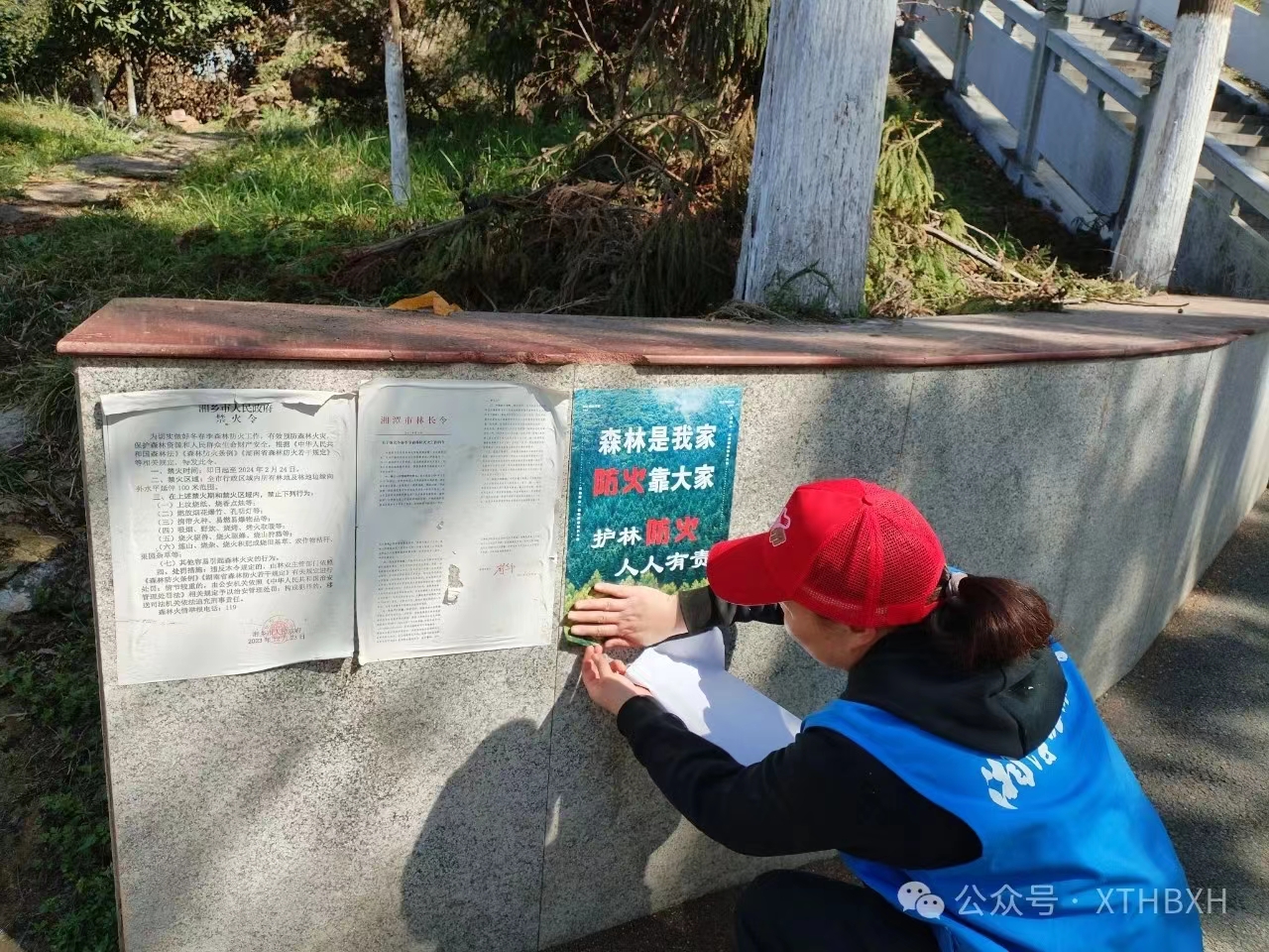 1710380509269098718.jpg 3.14湘潭植樹節3.jpg