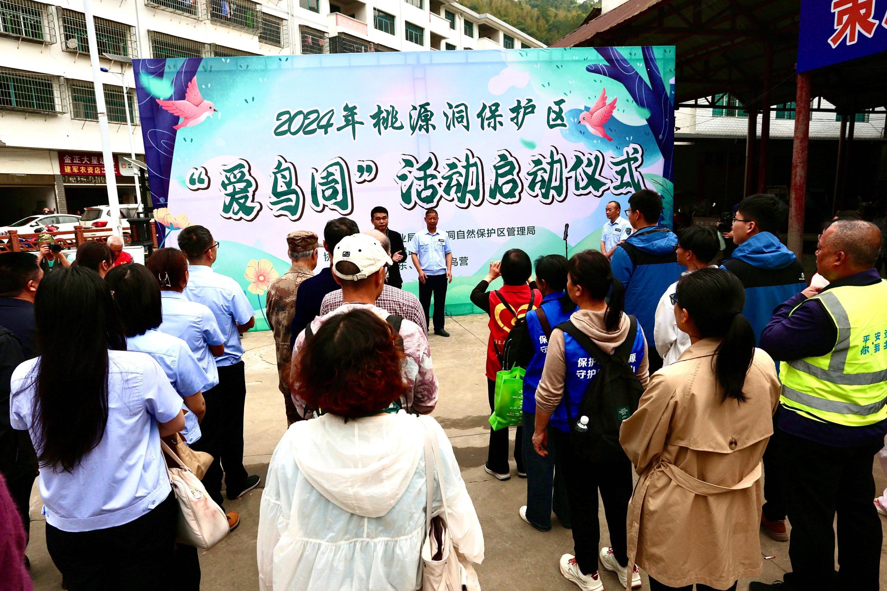 4.2炎陵愛鳥周5.jpg