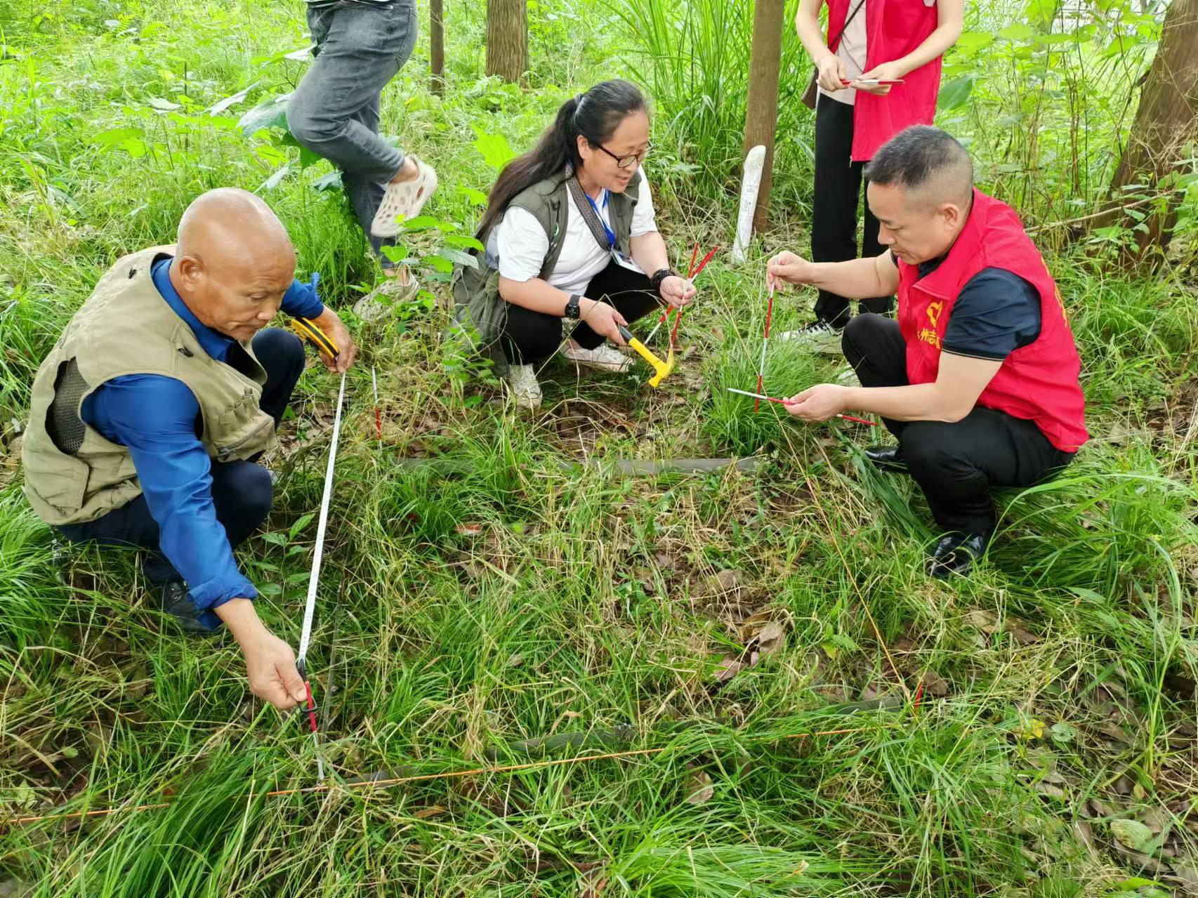 1716346965858020395.jpg 5.22零臨大隊4.jpg