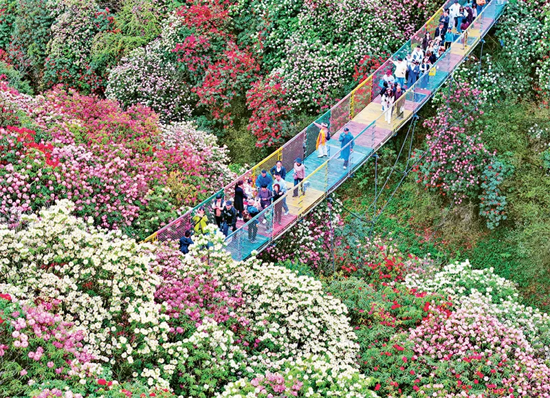 1718673543988064787.jpg 1718673543988064787.jpg