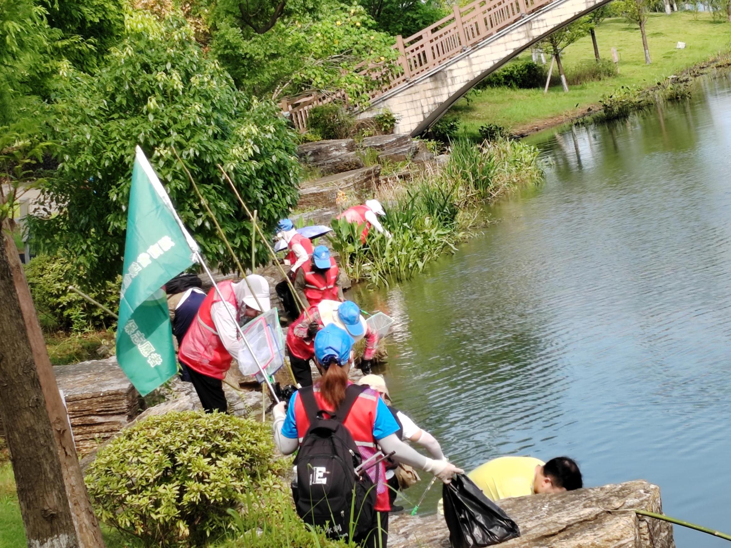 1720686852103017856.jpg 7.11株洲大隊福壽螺12.jpg