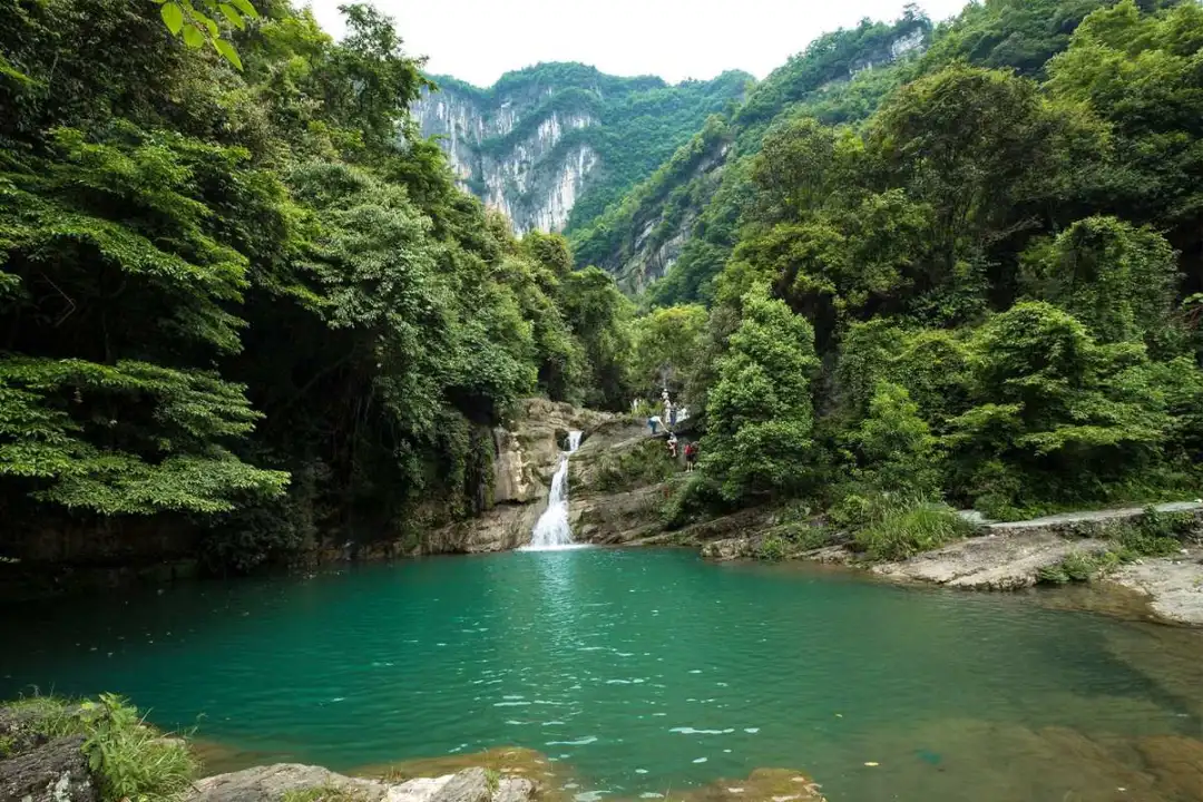 1730099830066033809.jpg 1730099830066033809.jpg