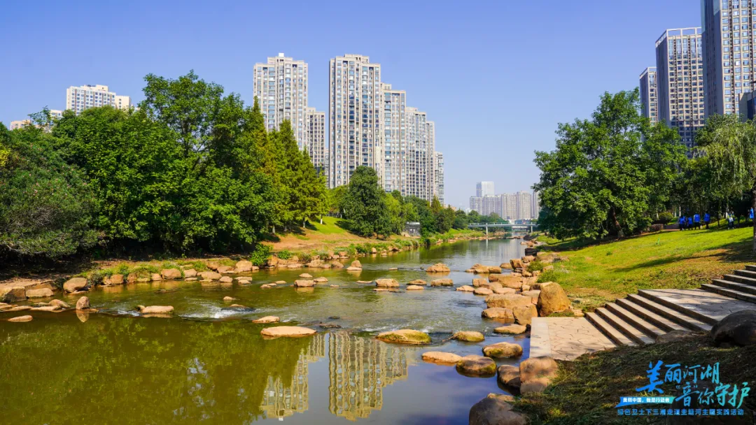 1730427060493073060.jpg 1730427060493073060.jpg