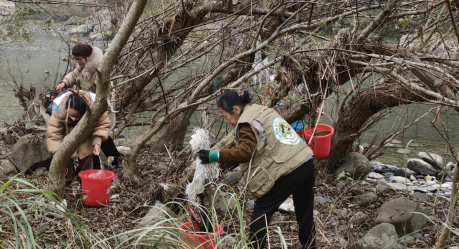 1734404406997087732.png 1734404406997087732.png