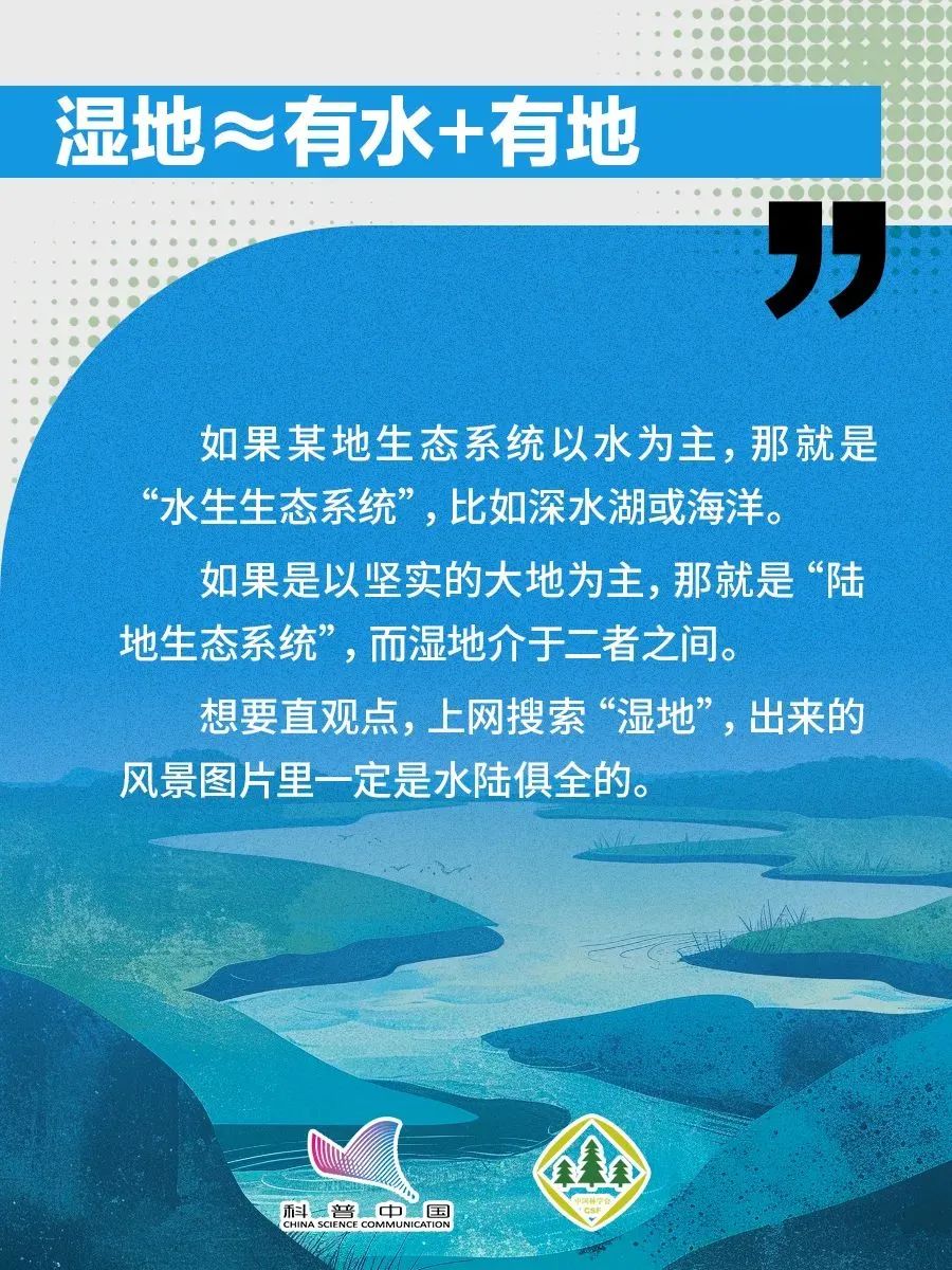 1738738529317080369.jpeg 1738738529317080369.jpeg