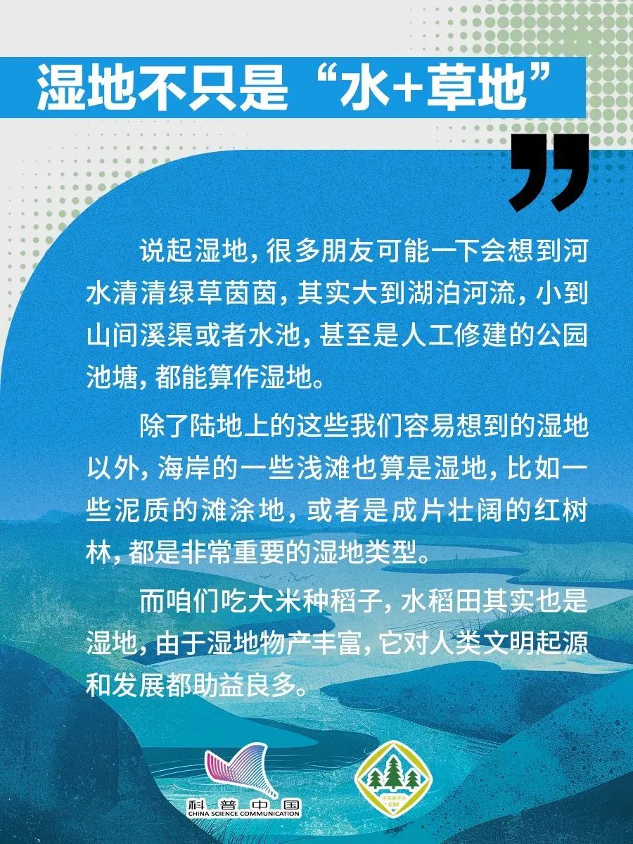 1738738542001063966.jpeg 1738738542001063966.jpeg