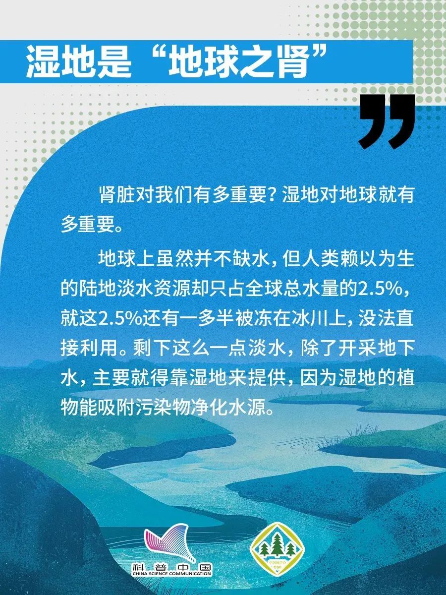 1738738556505032456.jpeg 1738738556505032456.jpeg