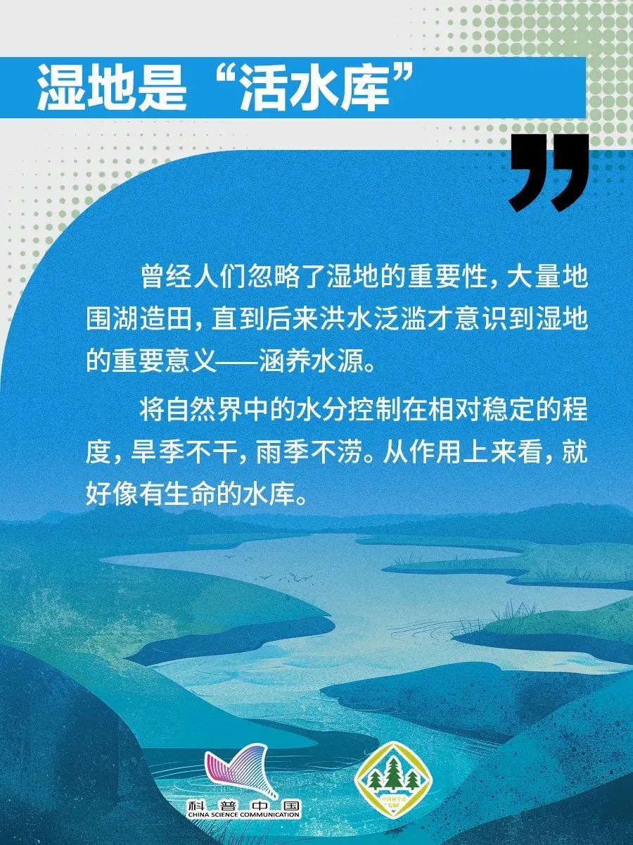 1738738566624005641.jpeg 1738738566624005641.jpeg