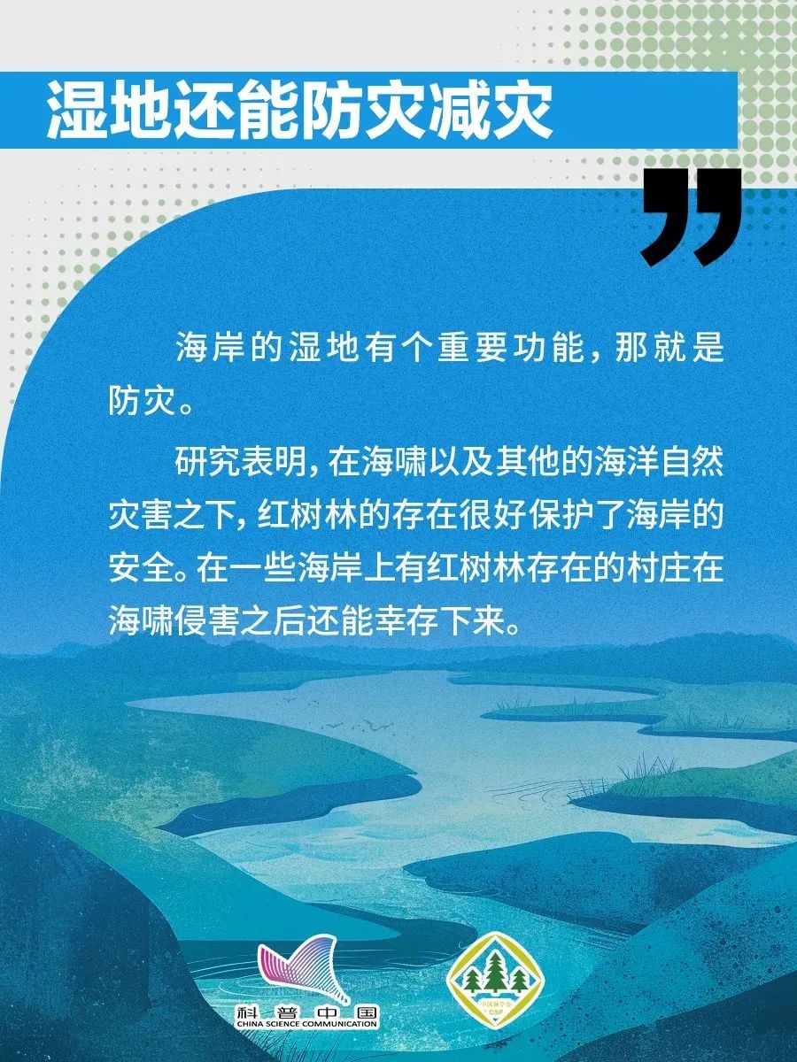 1738738573101040085.jpeg 1738738573101040085.jpeg