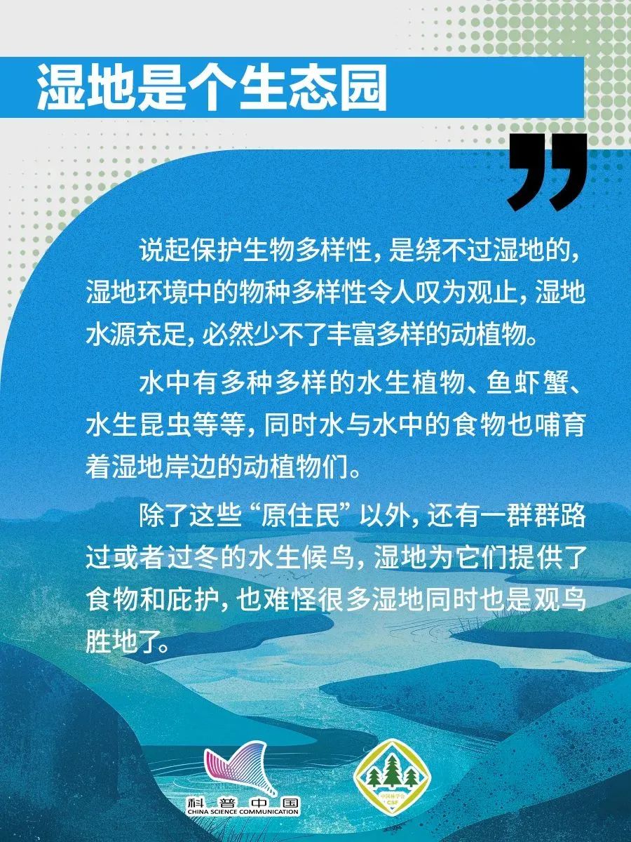 1738738613129056917.jpeg 1738738613129056917.jpeg