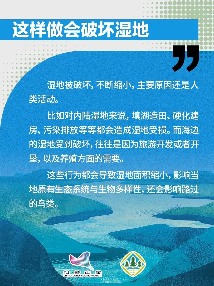 1738738625382047702.jpeg 1738738625382047702.jpeg