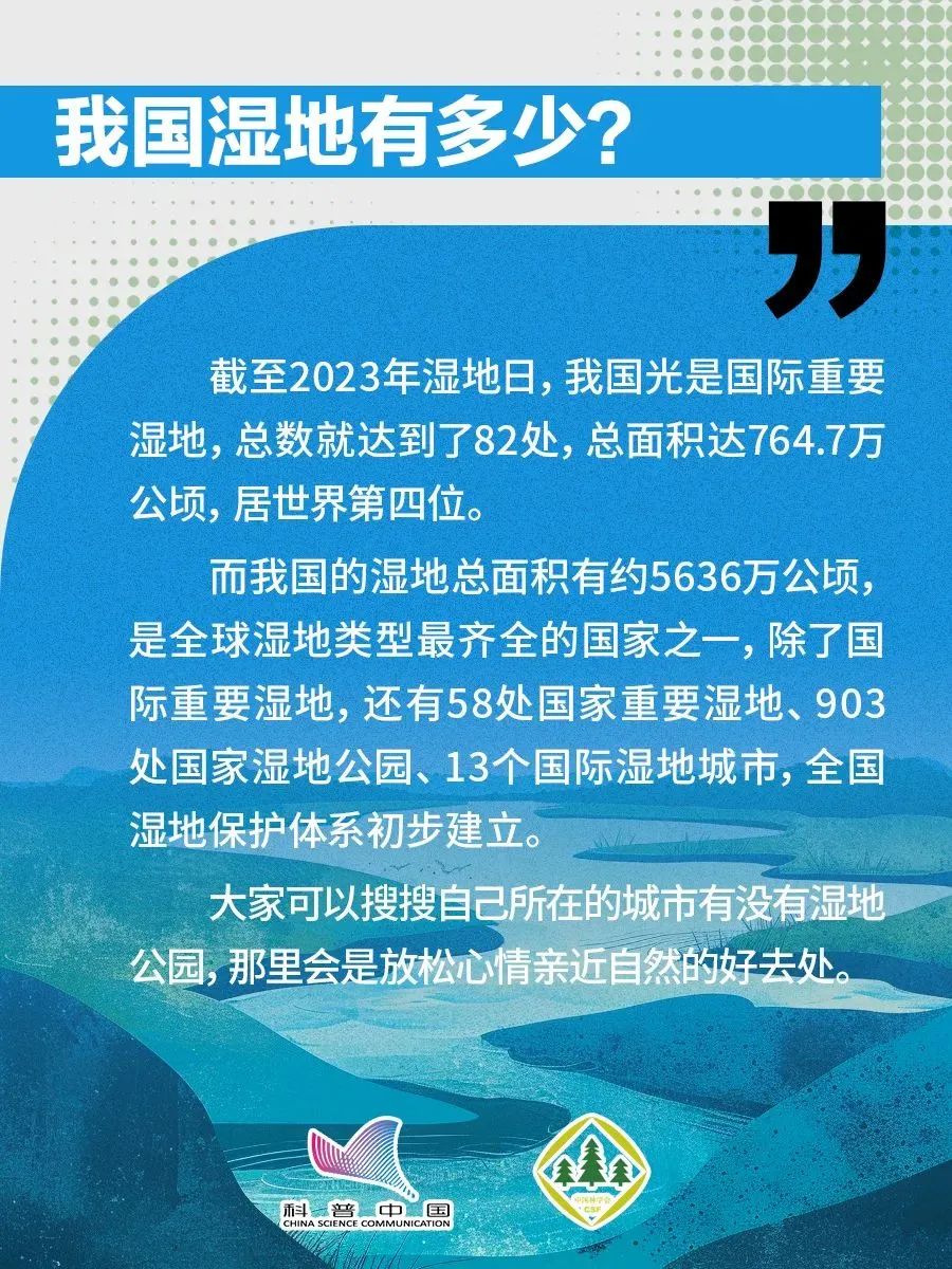 1738738634922077798.jpeg 1738738634922077798.jpeg