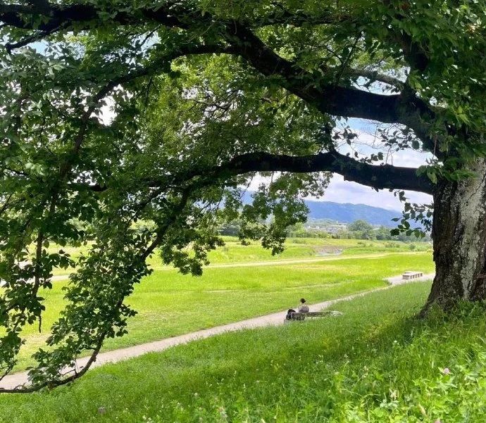 1751853105809057947.jpg 7.7資江2.jpg